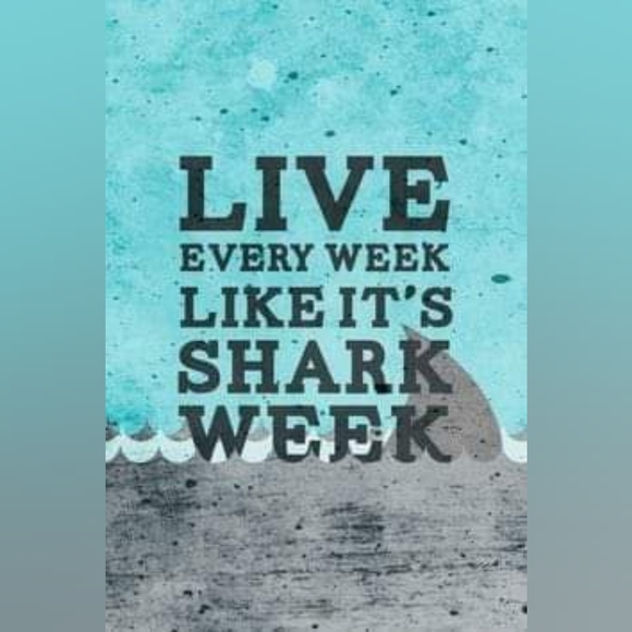 💕💕💕💕💕💕 - Picture 12 of 12